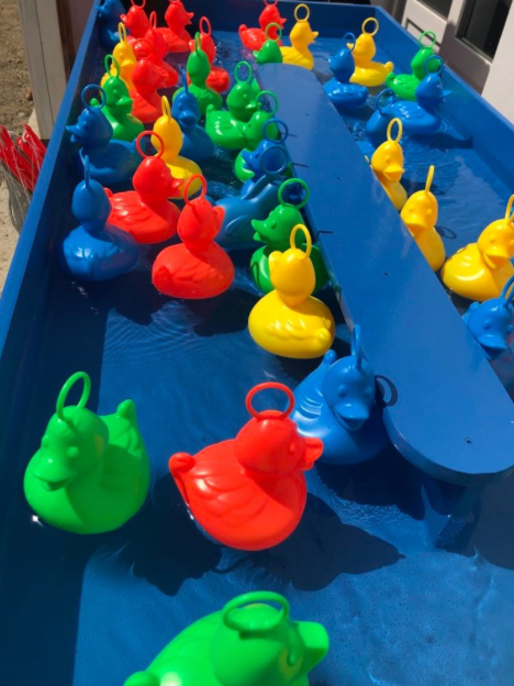 pêche aux canards en location à Metz